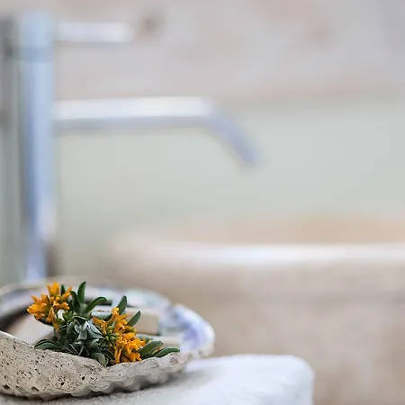 Athermi - Adults Only 3*